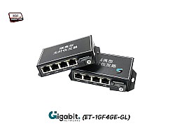 Gigabit Media Converter IN4 OUT4 VLAN Point To Point