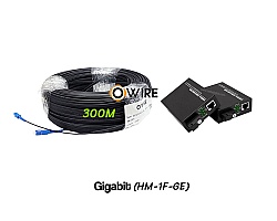 สายไฟเบอร์ออฟติก 1 Core 300 เมตร + Media BIDI 1G