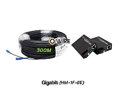 สายไฟเบอร์ออฟติก 1 Core 300 เมตร + Media BIDI 1G